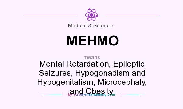 What does MEHMO mean? It stands for Mental Retardation, Epileptic Seizures, Hypogonadism and Hypogenitalism, Microcephaly, and Obesity