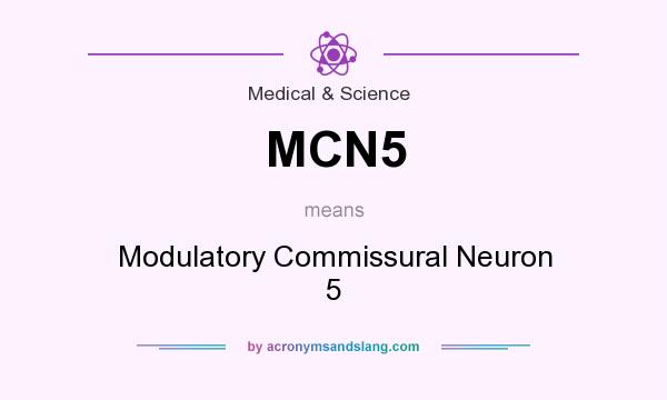 What does MCN5 mean? It stands for Modulatory Commissural Neuron 5