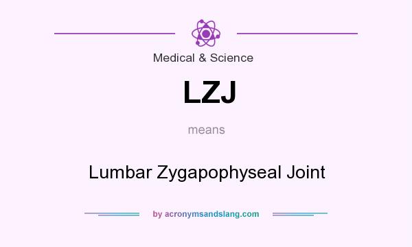 What does LZJ mean? It stands for Lumbar Zygapophyseal Joint