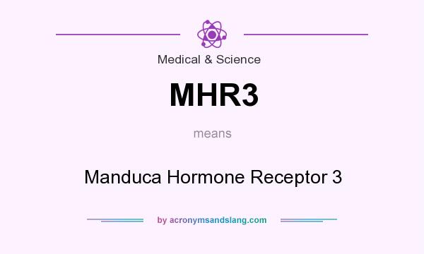 What does MHR3 mean? It stands for Manduca Hormone Receptor 3