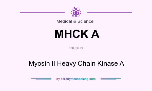 What does MHCK A mean? It stands for Myosin II Heavy Chain Kinase A