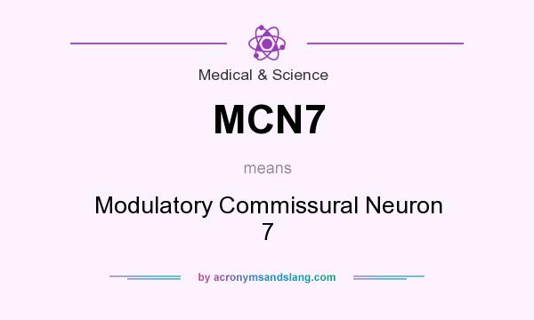 What does MCN7 mean? It stands for Modulatory Commissural Neuron 7