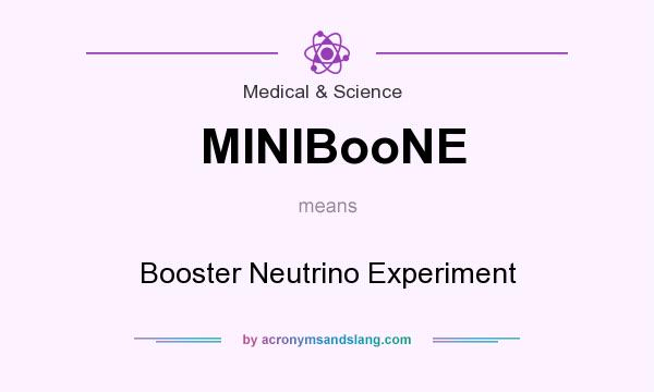What does MINIBooNE mean? It stands for Booster Neutrino Experiment