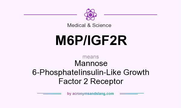 What does M6P/IGF2R mean? It stands for Mannose 6-PhosphateIinsulin-Like Growth Factor 2 Receptor