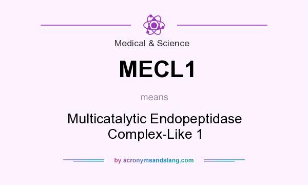 What does MECL1 mean? It stands for Multicatalytic Endopeptidase Complex-Like 1