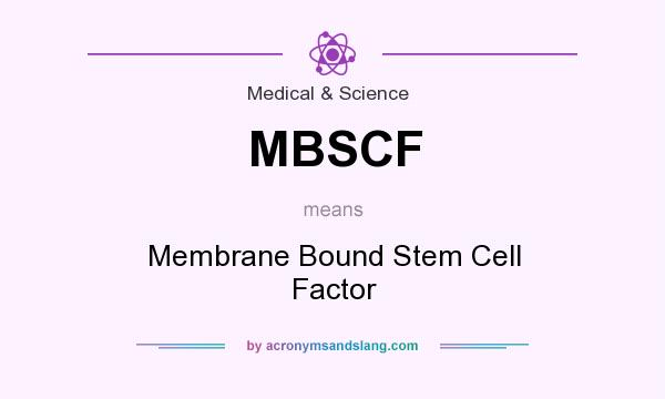 What does MBSCF mean? It stands for Membrane Bound Stem Cell Factor