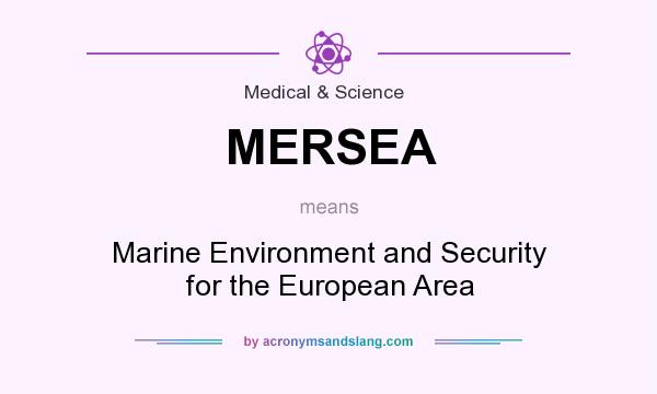 What does MERSEA mean? It stands for Marine Environment and Security for the European Area