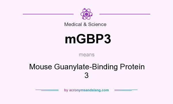 What does mGBP3 mean? It stands for Mouse Guanylate-Binding Protein 3