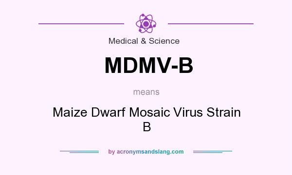 What does MDMV-B mean? It stands for Maize Dwarf Mosaic Virus Strain B