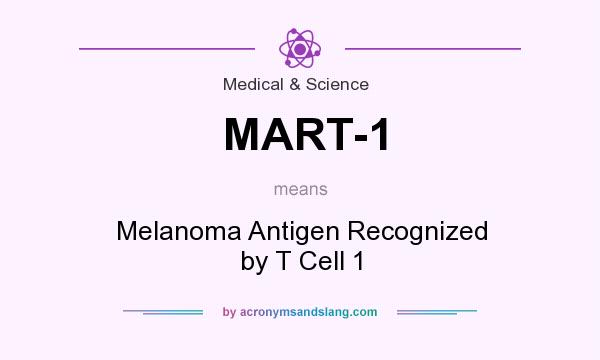 What does MART-1 mean? It stands for Melanoma Antigen Recognized by T Cell 1