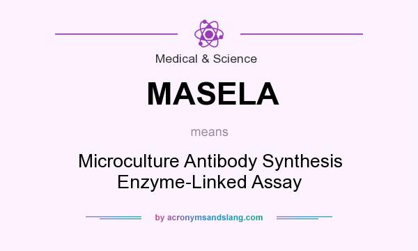 What does MASELA mean? It stands for Microculture Antibody Synthesis Enzyme-Linked Assay
