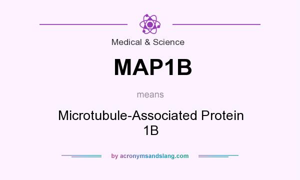 What does MAP1B mean? It stands for Microtubule-Associated Protein 1B