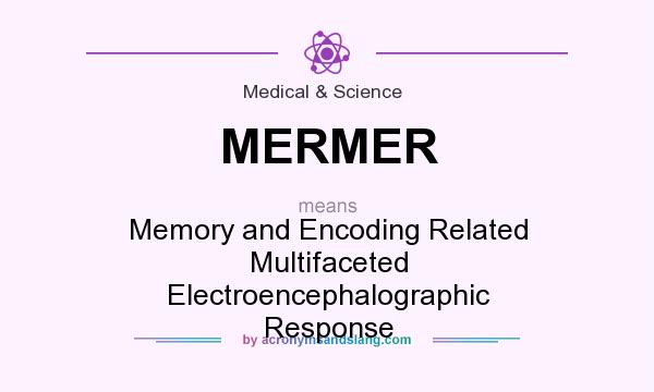 What does MERMER mean? It stands for Memory and Encoding Related Multifaceted Electroencephalographic Response