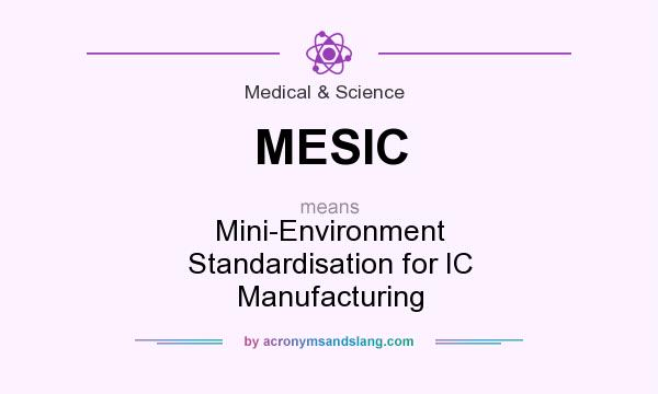 What does MESIC mean? It stands for Mini-Environment Standardisation for IC Manufacturing