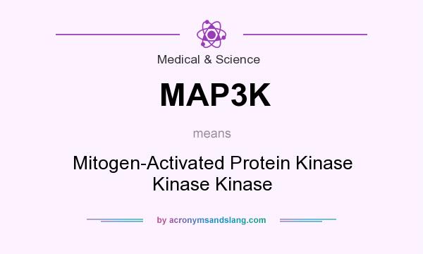 What does MAP3K mean? It stands for Mitogen-Activated Protein Kinase Kinase Kinase