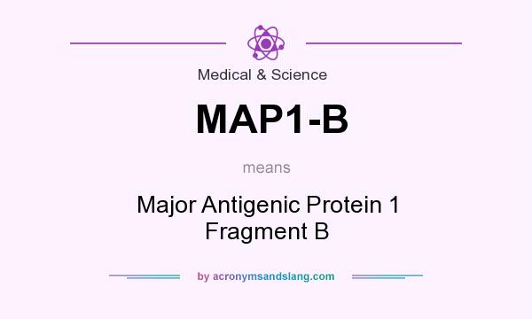 What does MAP1-B mean? It stands for Major Antigenic Protein 1 Fragment B