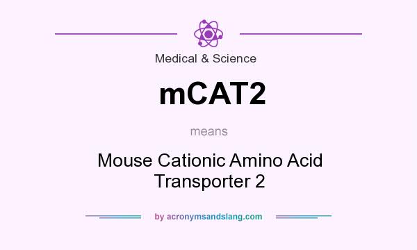 What does mCAT2 mean? It stands for Mouse Cationic Amino Acid Transporter 2