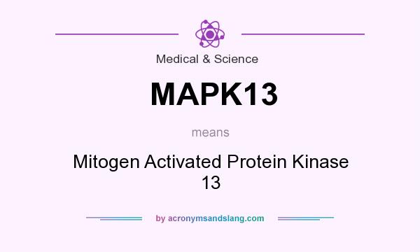 What does MAPK13 mean? It stands for Mitogen Activated Protein Kinase 13