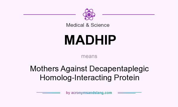 What does MADHIP mean? It stands for Mothers Against Decapentaplegic Homolog-Interacting Protein