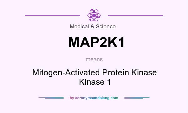 What does MAP2K1 mean? It stands for Mitogen-Activated Protein Kinase Kinase 1