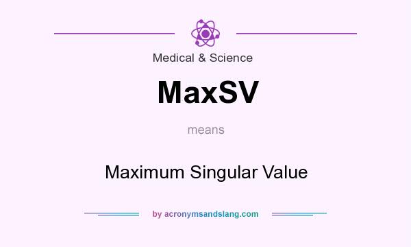 What does MaxSV mean? It stands for Maximum Singular Value