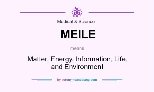 What does MEILE mean? It stands for Matter, Energy, Information, Life, and Environment