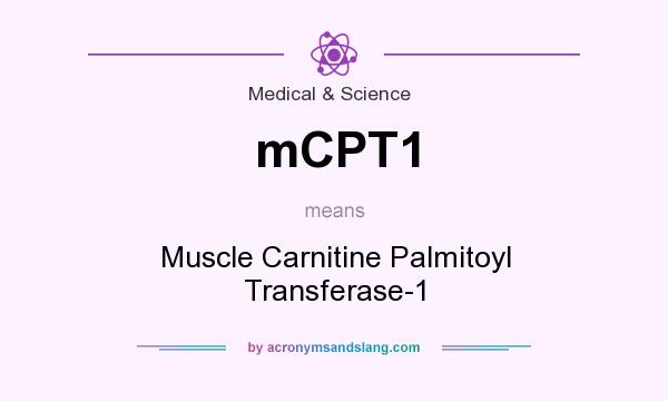 What does mCPT1 mean? It stands for Muscle Carnitine Palmitoyl Transferase-1