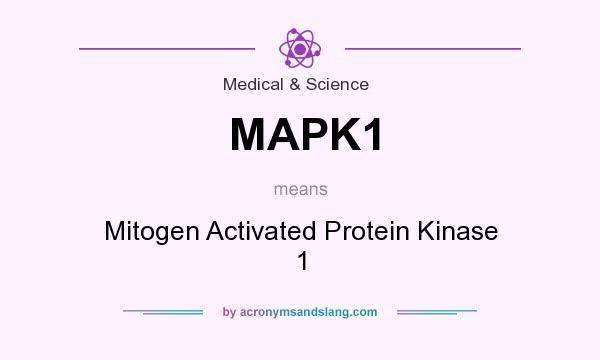 What does MAPK1 mean? It stands for Mitogen Activated Protein Kinase 1