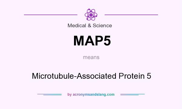 What does MAP5 mean? It stands for Microtubule-Associated Protein 5