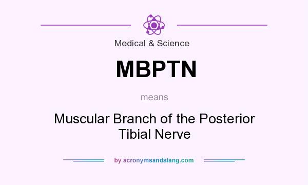 What does MBPTN mean? It stands for Muscular Branch of the Posterior Tibial Nerve