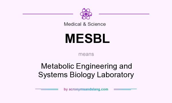 What does MESBL mean? It stands for Metabolic Engineering and Systems Biology Laboratory