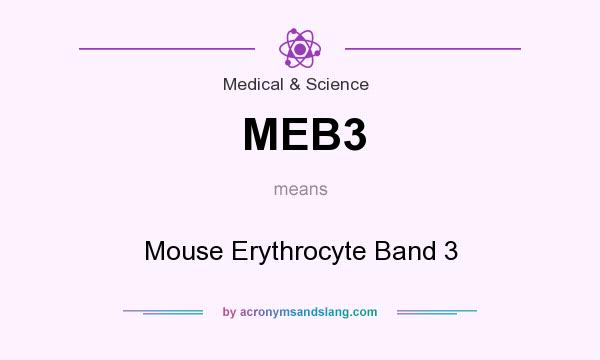 What does MEB3 mean? It stands for Mouse Erythrocyte Band 3