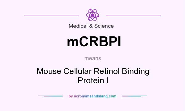What does mCRBPI mean? It stands for Mouse Cellular Retinol Binding Protein I