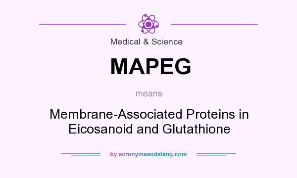 What does MAPEG mean? It stands for Membrane-Associated Proteins in Eicosanoid and Glutathione