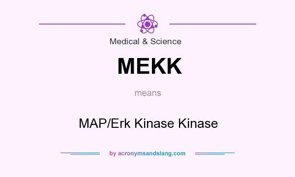 What does MEKK mean? It stands for MAP/Erk Kinase Kinase