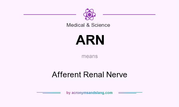 What does ARN mean? It stands for Afferent Renal Nerve