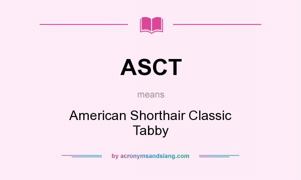 What does ASCT mean? It stands for American Shorthair Classic Tabby