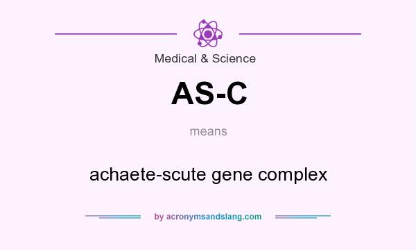 What does AS-C mean? It stands for achaete-scute gene complex