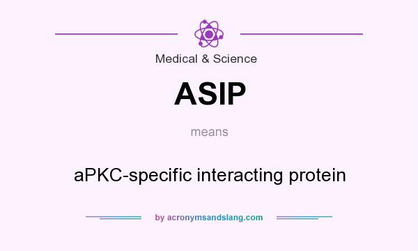 What does ASIP mean? It stands for aPKC-specific interacting protein