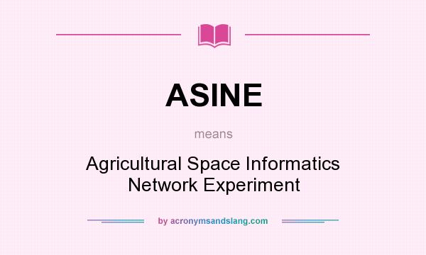 What does ASINE mean? It stands for Agricultural Space Informatics Network Experiment