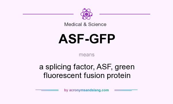 What does ASF-GFP mean? It stands for a splicing factor, ASF, green fluorescent fusion protein
