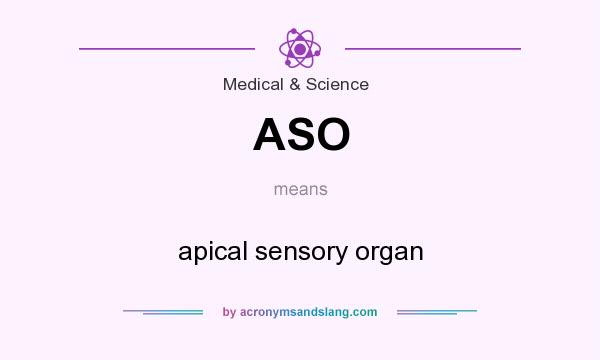 What does ASO mean? It stands for apical sensory organ