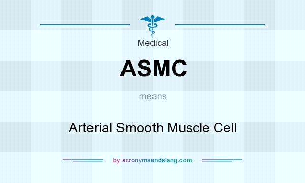 What does ASMC mean? It stands for Arterial Smooth Muscle Cell