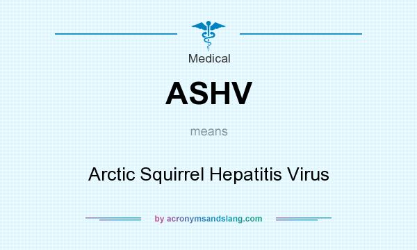 What does ASHV mean? It stands for Arctic Squirrel Hepatitis Virus