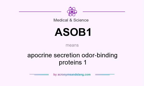 What does ASOB1 mean? It stands for apocrine secretion odor-binding proteins 1