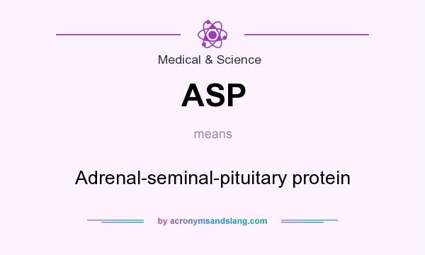 What does ASP mean? It stands for Adrenal-seminal-pituitary protein