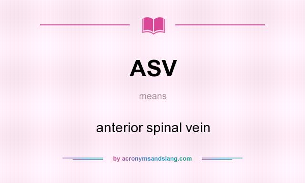 What does ASV mean? It stands for anterior spinal vein
