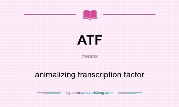 What does ATF mean? It stands for animalizing transcription factor
