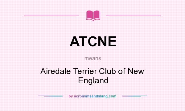 What does ATCNE mean? It stands for Airedale Terrier Club of New England