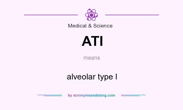 What does ATI mean? It stands for alveolar type I